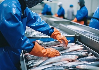 Обработка рыбы и морепродуктов